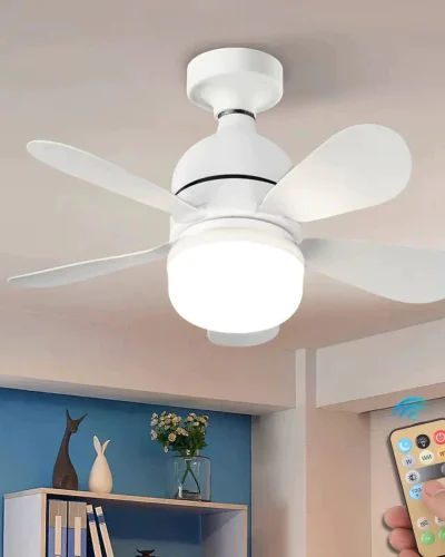 sg-11134201-7rdwq-mc6xleczzd4pbe (1)